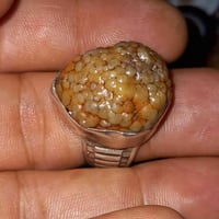 محبس • زوعة الحية • فضة اصلي