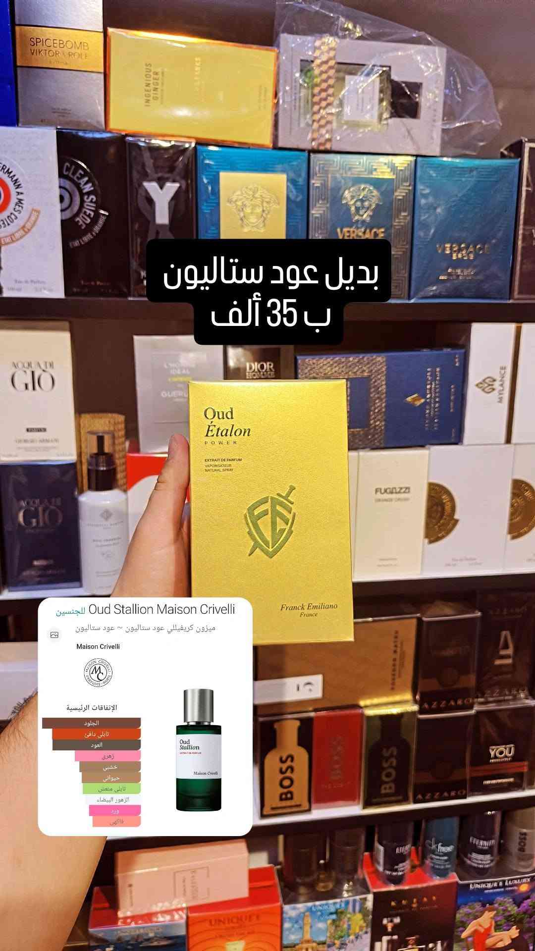 زيرجوف • إريبا بورا • ميزون كريڤلي
