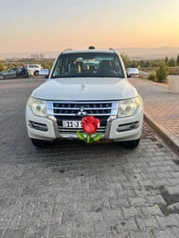حبتور • ٢٠١٠ • مصبوغ