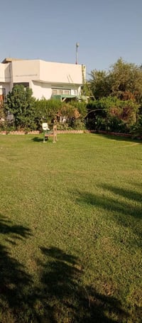 قريت يونس طريق المطار • ٣ دونم • بستان