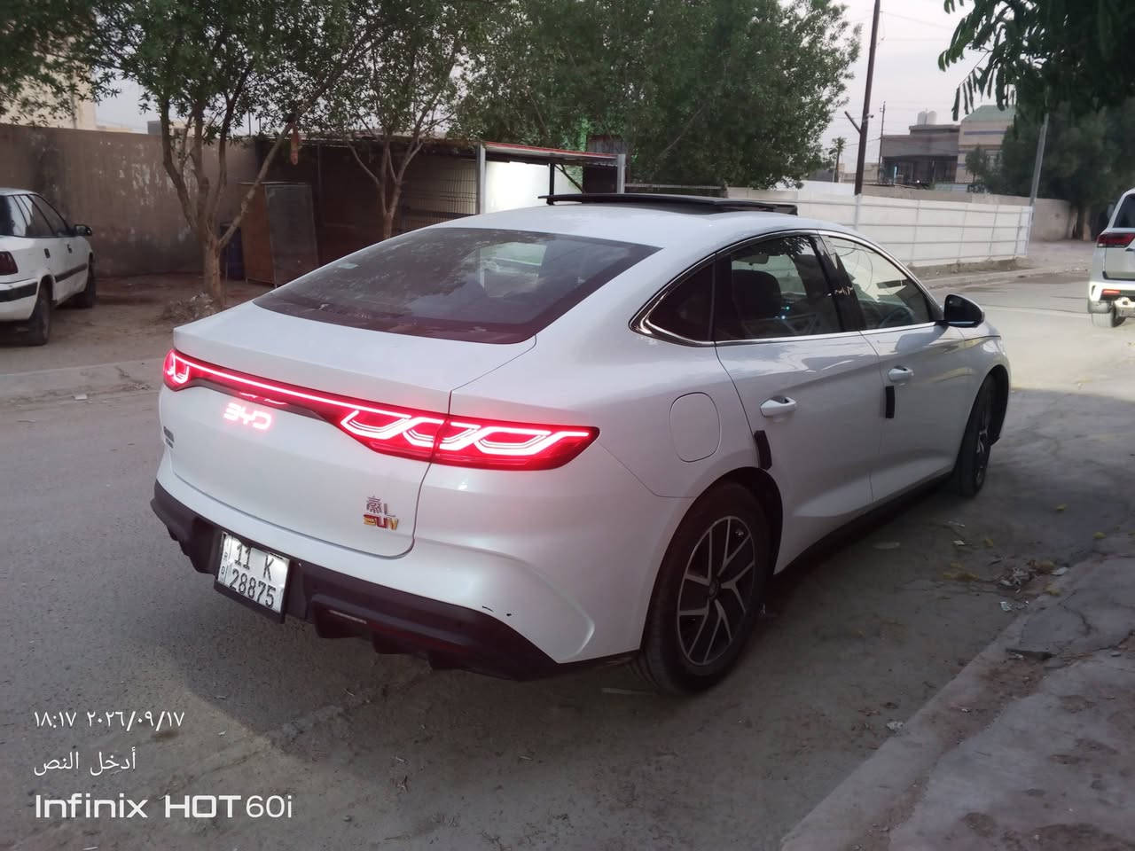 كنيل • ٢٠٢٤ • بغداد السيدية