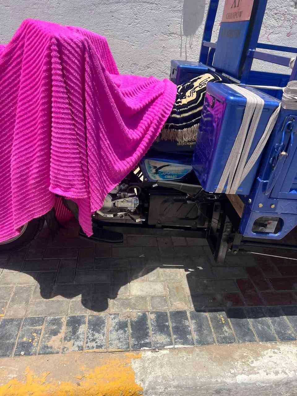 مستعجل كلش على البيع 👇👇
ستوتة وكالة عامة 🛑

السلام عليكم  ستوتة للبيع جديدة بالباكيت وأحلى من الصور استعمالها شهر ونص والدراجة ماطالعة وعينك ميزانك بالصور وذا حقيقة بعد احلى 

دراجة ماتتفوت 

السعر اتصل على الرقم وبيكم خير وتدللون 
***********
