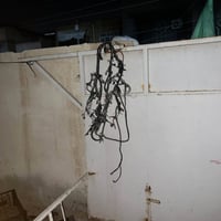 غراض ماكس • كلجات امامي • دواخل