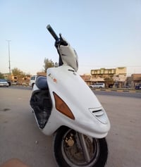 فراشه • فحل • دسك امامي