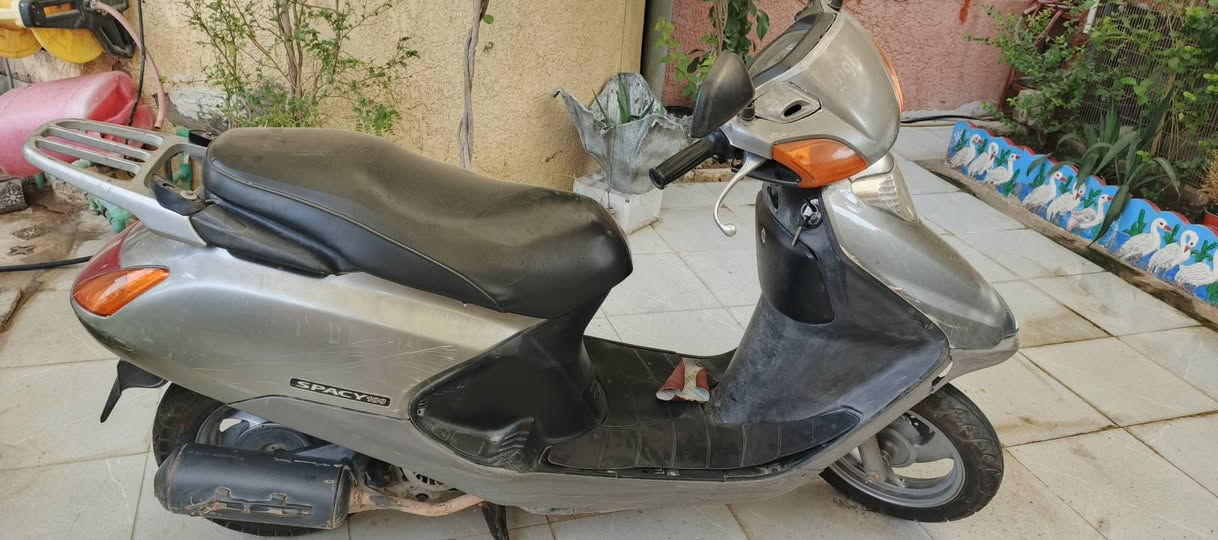 سبيسي • ياباني