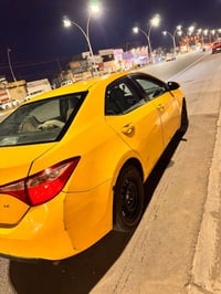 كورلا ٢٠١٩ • كركوك • رقم بغداد