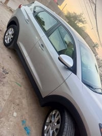 توسان أمريكي • كفالة • بابل بسمي