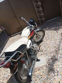 تايگر • ٢٠٢٠ • مكينة شرط