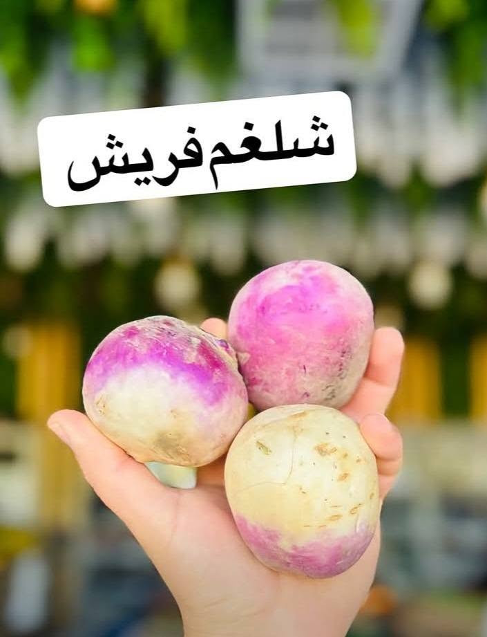 خيرات بسماية • خضار وفواكه • طازجة