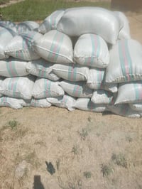 تبن جت • للبيع