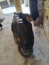 فراشة نثيه • بابل • الدبله