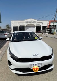 كشنات جلد احمر • ٢٠٢٤ • رقم بغداد
