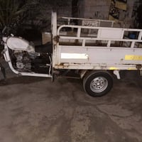 ستوته • ام الطير • موديل ٢٠١١