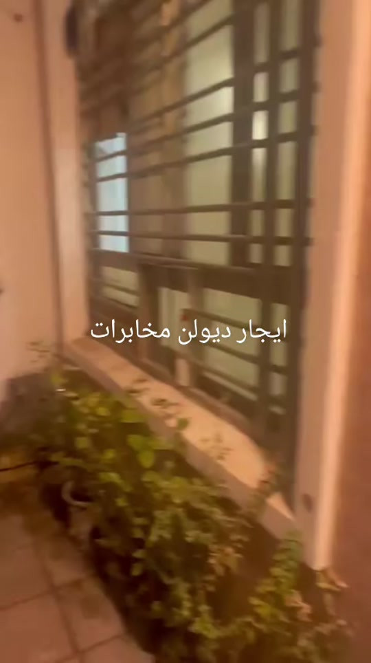 للايجار   طابقين ونص   صاله مطبخ صحيات  غرف نوم  3 حي الجهاد ديوان المخابرات  مكتب الزبيدي *********** 
