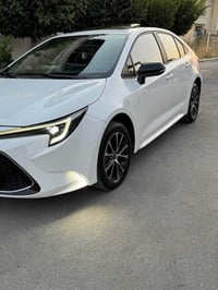 بيكاب • ٢٠٢٤ • ٣٠٠٠٠