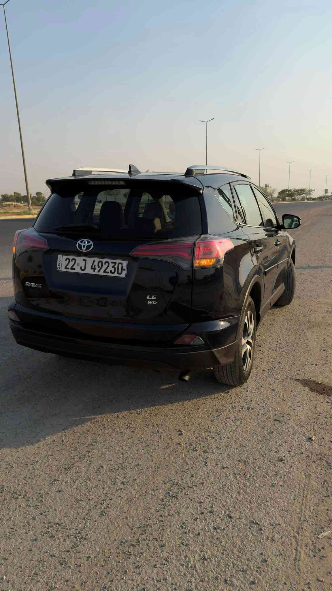 راف فور • ٢٠١٧ • دهن شركة