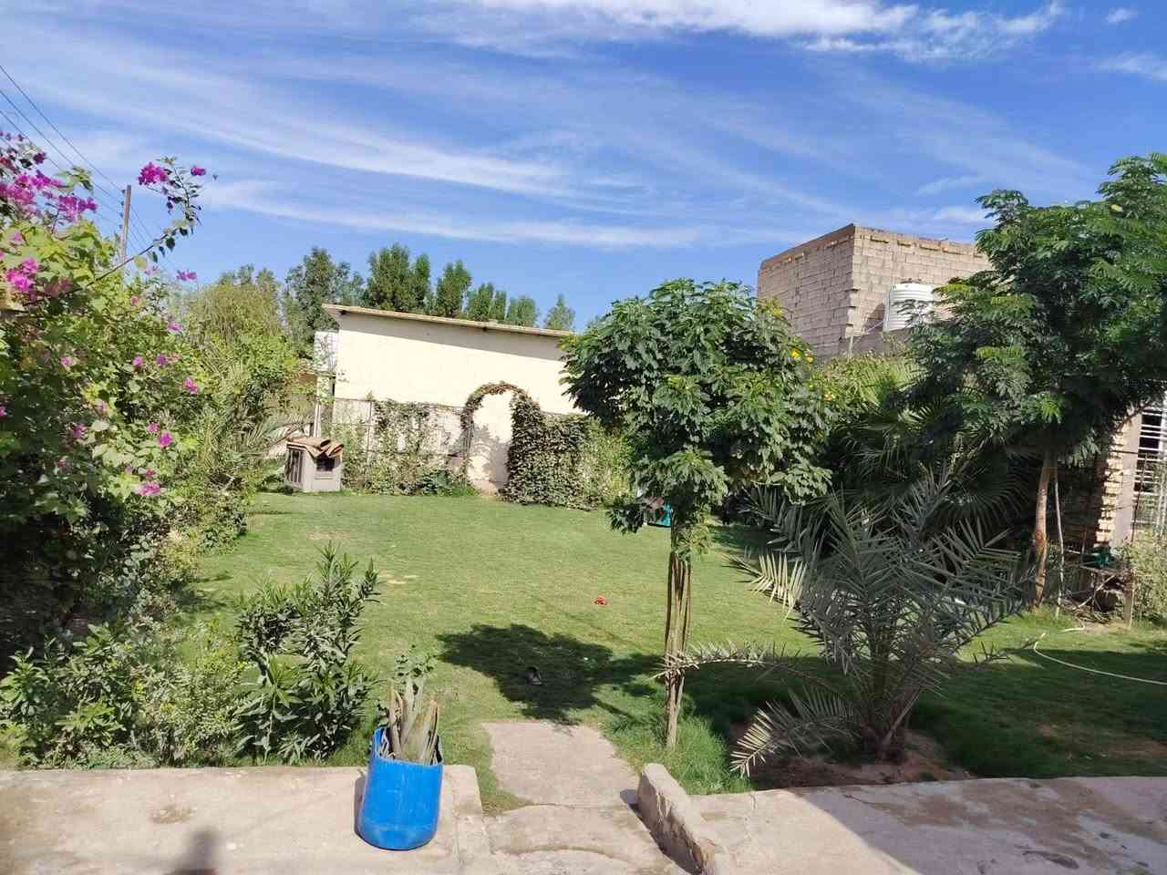 بيت للبيع مساحه البناء 250, متر مع مضيف 13 متر مع مشتمل  مساحه الارض 800 متر مثل ماواضح بالصوره عنوان البيت دوانم النهروان قرب السيطره يبعد عن الشارع العام 100 تقريبا باقي التفاصيل اتصل على الرقم ***********
