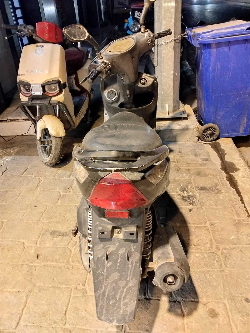 سكنز نوزل • اوراق • اسود
