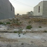 النسيج • ٢٢٥م • سند ٢٠٢٤