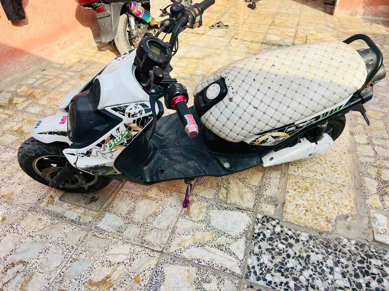سكنس فحل • جبلي • بطاريات جديده