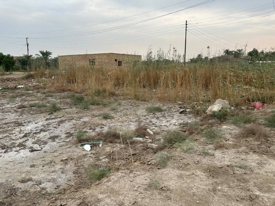 منطقة سيد جaber • ٤٠٠متر • سند ٢٥