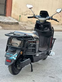 تالنج • مواصفات فول • نضيف