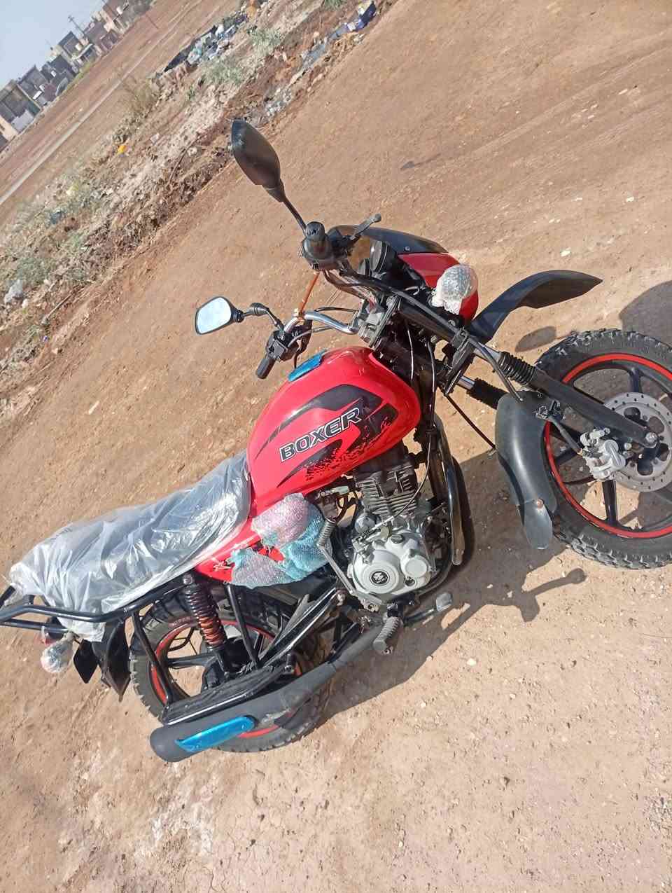 بوكسر جبلي • ٢٠٢١ • مفتوحه