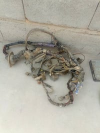 محور • كرستا مارك • الزبير