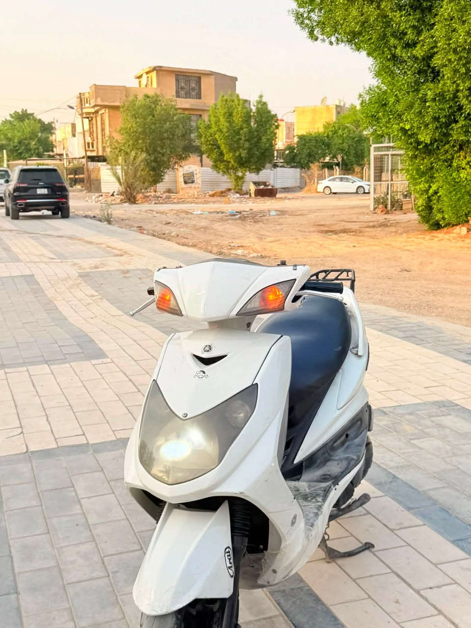 سكنس فحل • جديده • كفاله