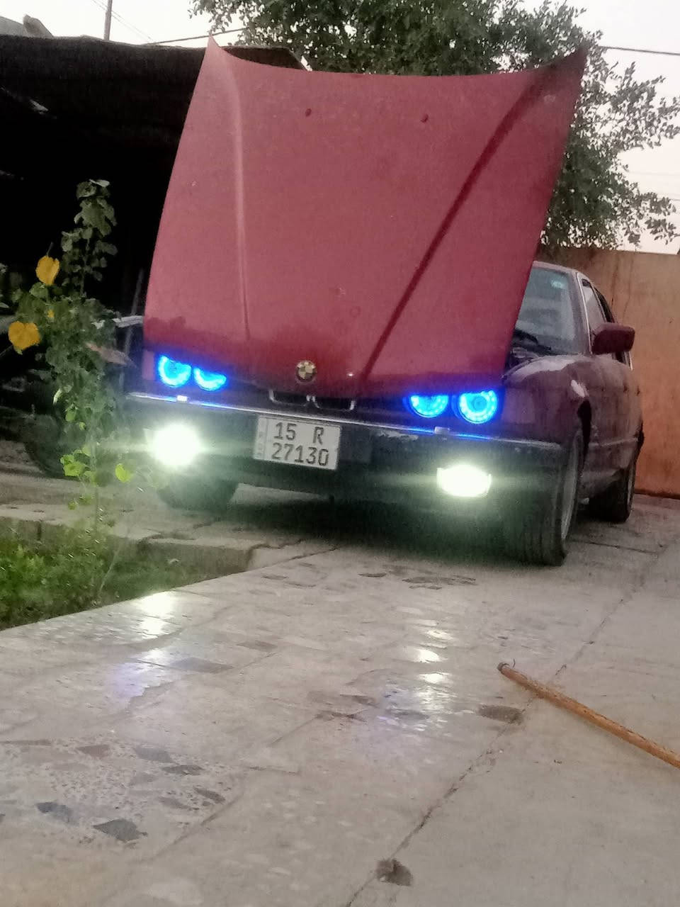 ***********
