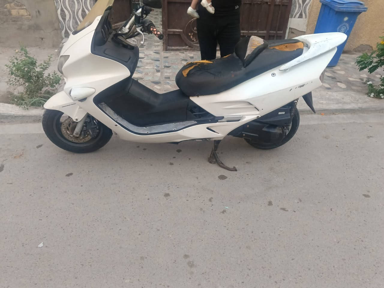 فورزه 06 • فحل • معدل يخبل
