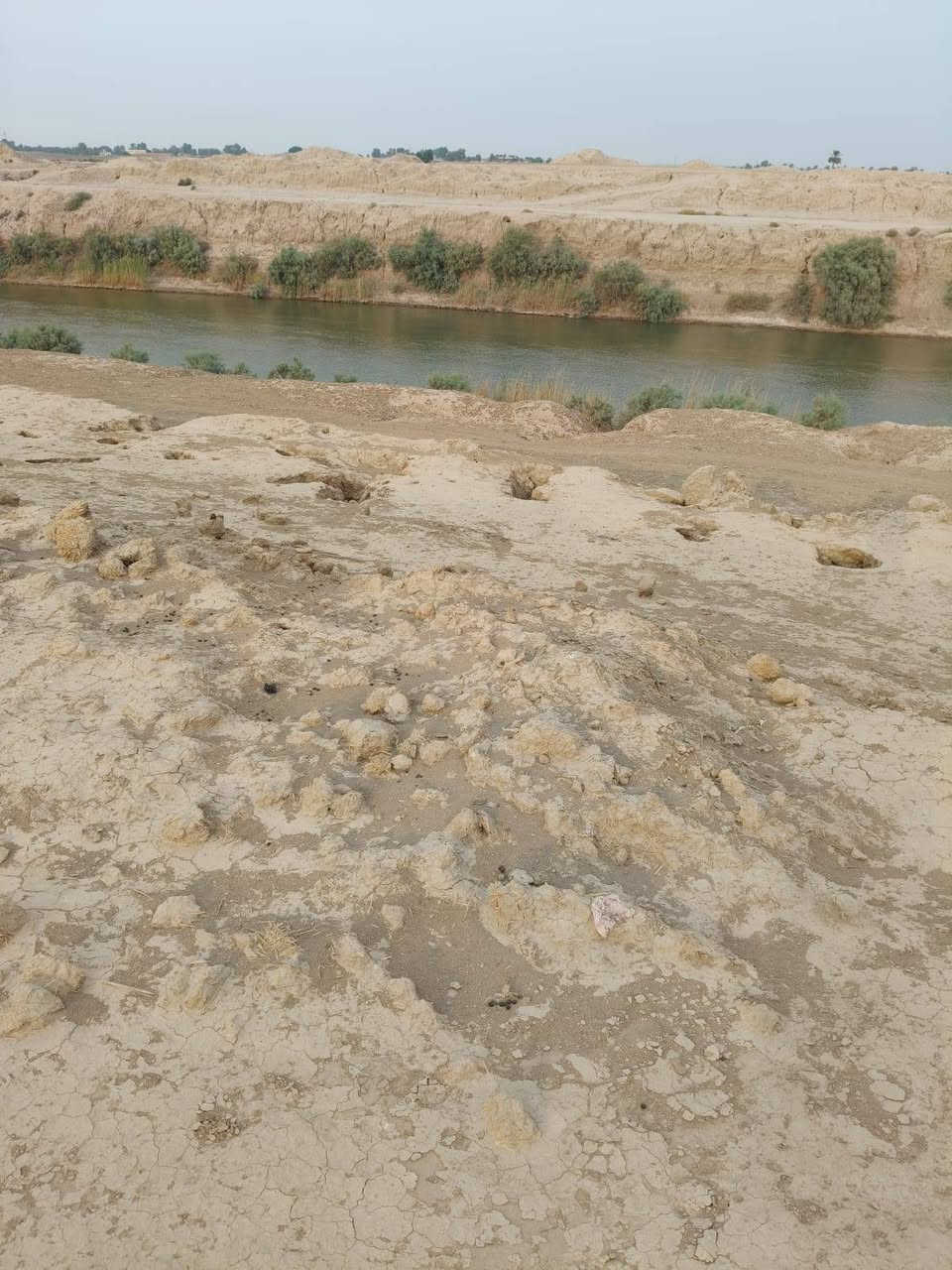 الحمزه الغربي • الحراكصه • ٢٥ دونم