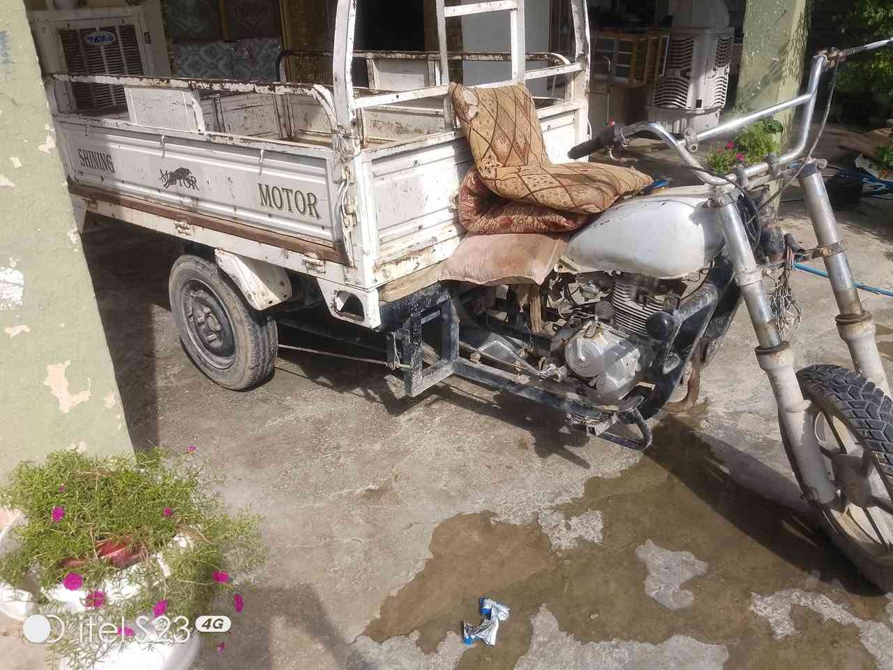 ستوته • ام طير