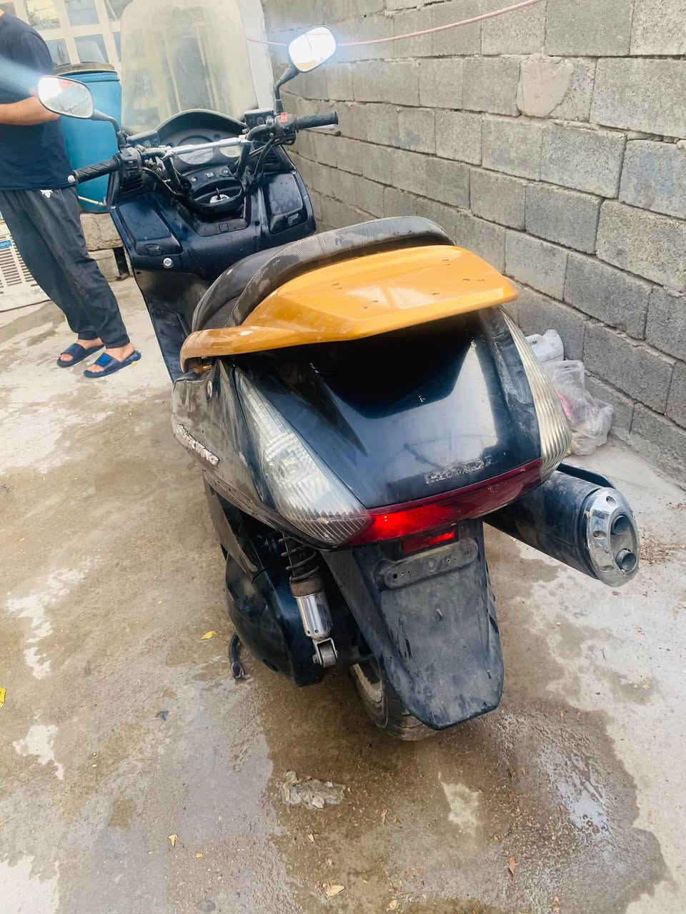 بغداد ابو دشير مكفولة ‭***********‬
