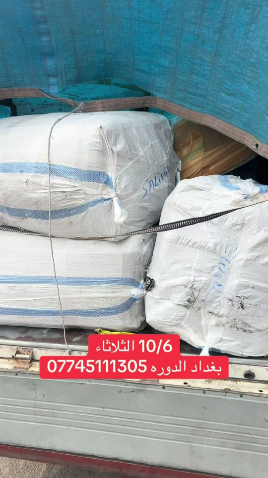 ١٠/٦ • الثلاثاء • بغداد الدورة