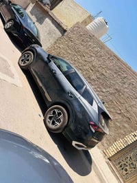 سبورتج • ٢٠٢٥ • مرقّم شهداء