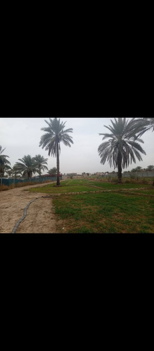 السلام عليكم ارض للبيع 
طابو صرف تحويل مباشر ب اسم المشتري سند ٢٥
المساحه دونم ونص
جميع الخدمات 
الموقع بابل حله شارع ١٠٠
الرابط بزل حجي علي
قريبه ع الشارع العام تبعد ١٠٠متر 
للاستفسار اكثر 
***********
