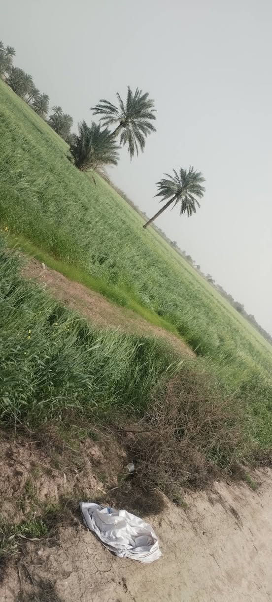 للبيع  40 دونم طابو زراعي سند 25
بابل •••منطقة البدعه ••• مقابل شارع ابو الجاسم
متوفر كافة الخدمات __ تبليط ••• ماء سقي صيف وشتاء ••• اساله ••
تحويل مباشر •• بسعر جيد ••
***********
