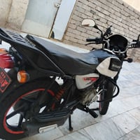 بوكسر • فحل • ٢٠٢٢