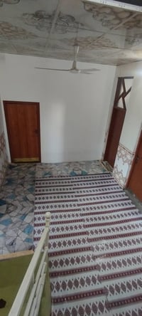 الدواغنه بالوجه • ٢٥٠م • حديقة كبيرة