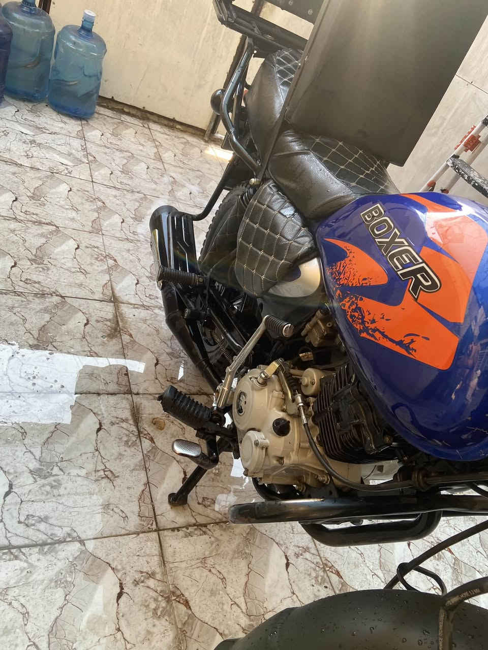 بوكسر • 22 جبلي • مرقم