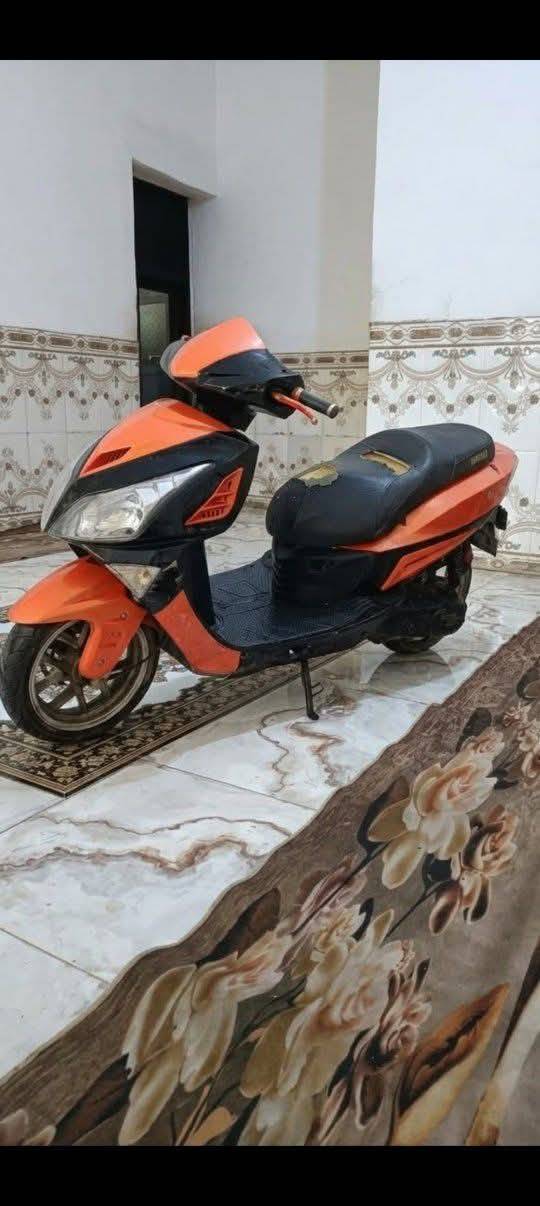 سكنز • ياباني • مامفتوح