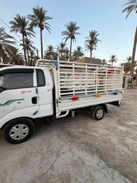 عموشة • ٢٠١٦ • بغداد