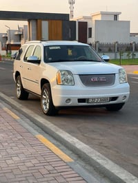دينالي • ٥٣٠٠ • صبغ فقط
