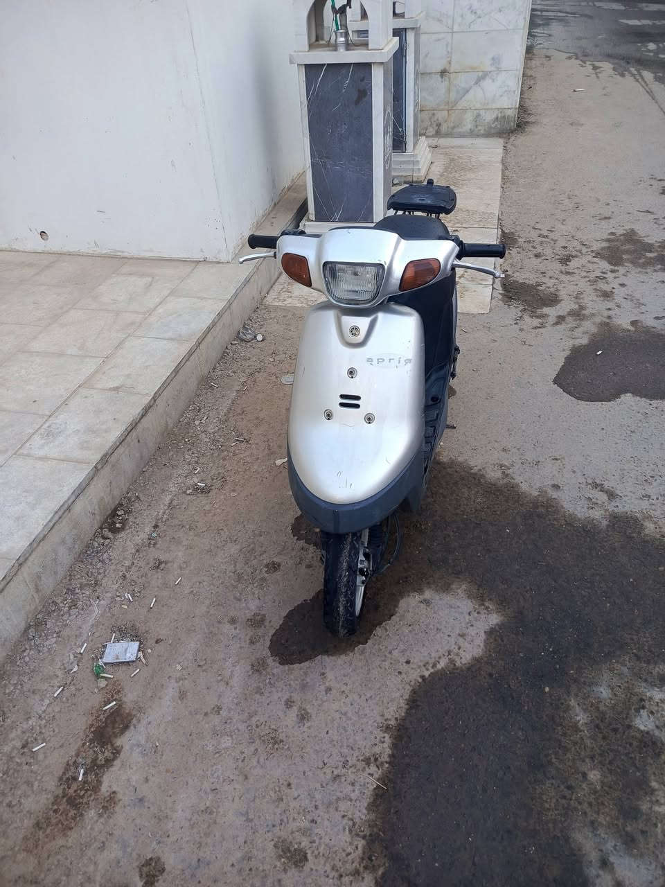 بطة • ٢٠٠٣ • سلف