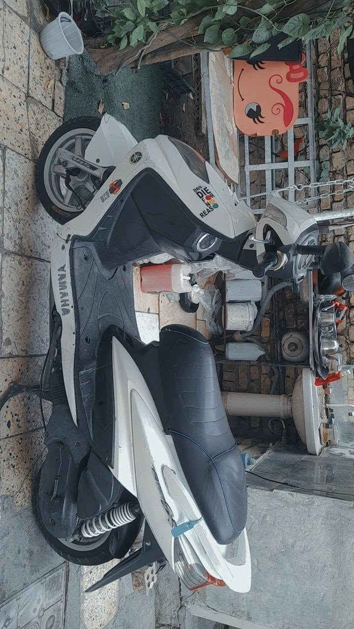 سكنس فحل • مكفوله • كفرات بلاديه