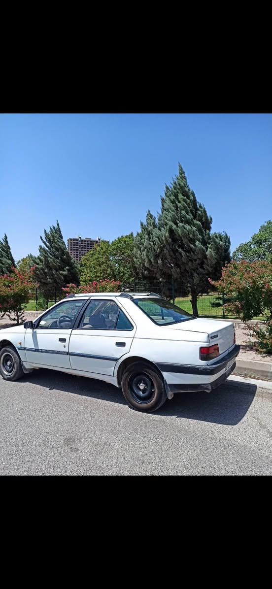 بيجو 405 • ٢٠١٠ • سند لحد ٢٠٣٠