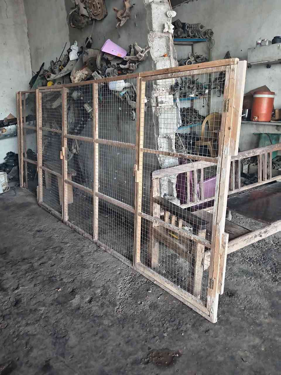 طيور • عصافير • الزعفرانية