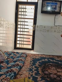 ٥٠م • جديد • عمود ٣١٧ شارع ٤١