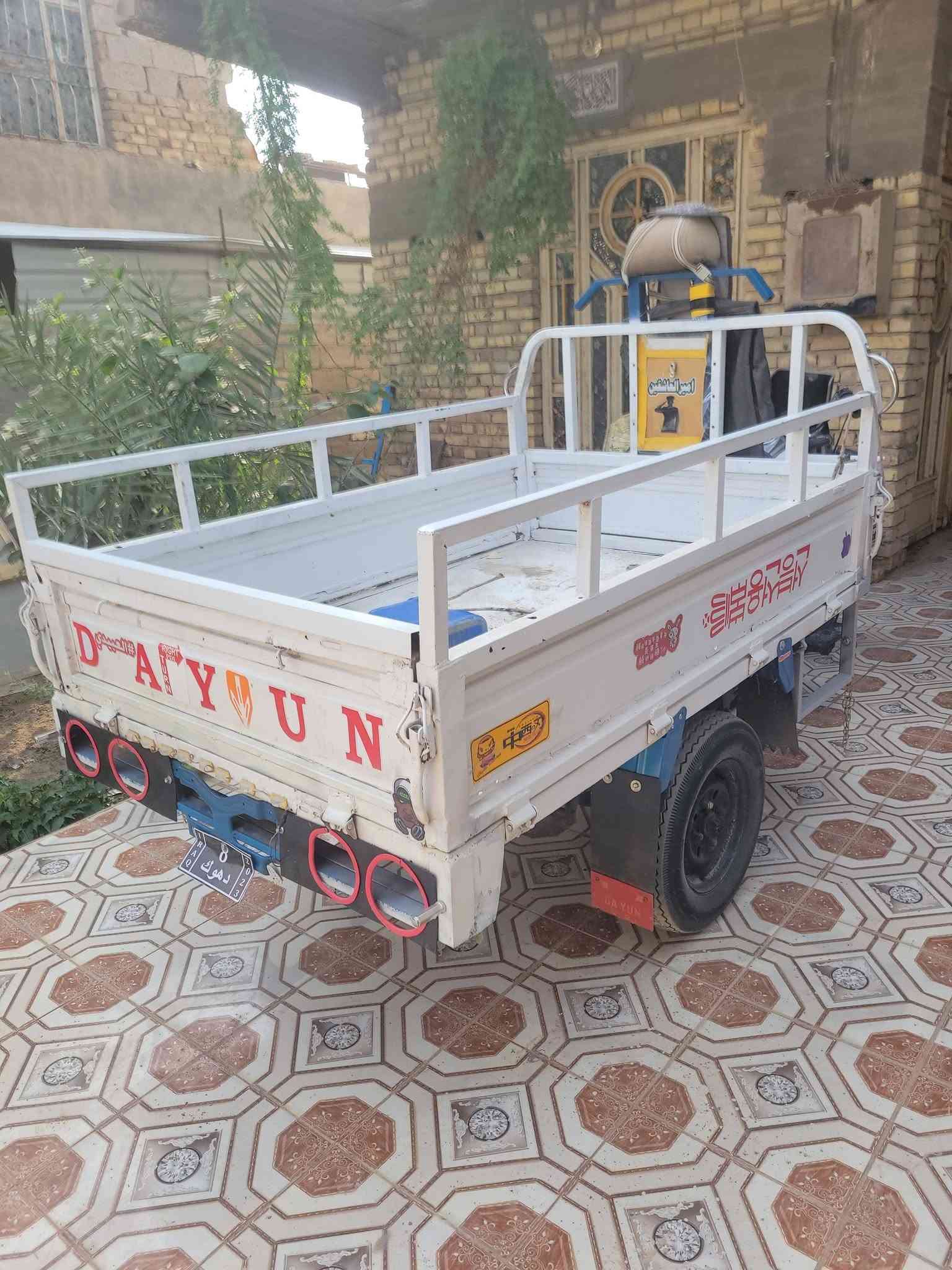 ستوته • بدون أوراق • موديل ٢٠